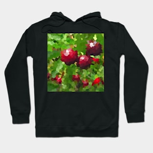 Pixelated Cherry Hoodie